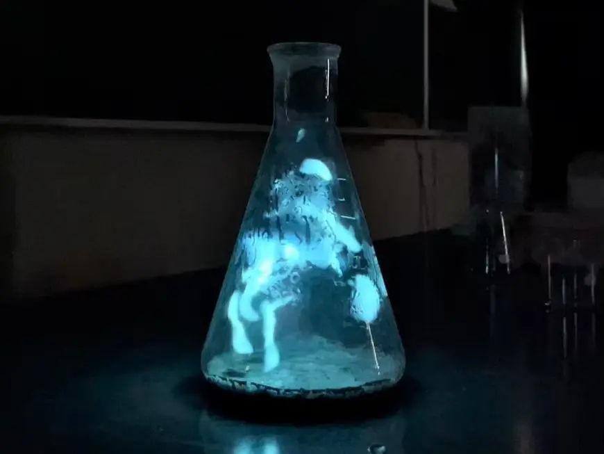 科学部2